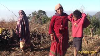 preview picture of video 'organic life || pastoral life || nepali shepherd ||'