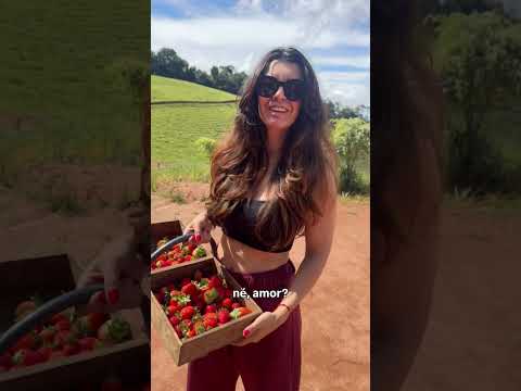 Morangos de Minas Gerais! Bom repouso a capital do morango!🍓