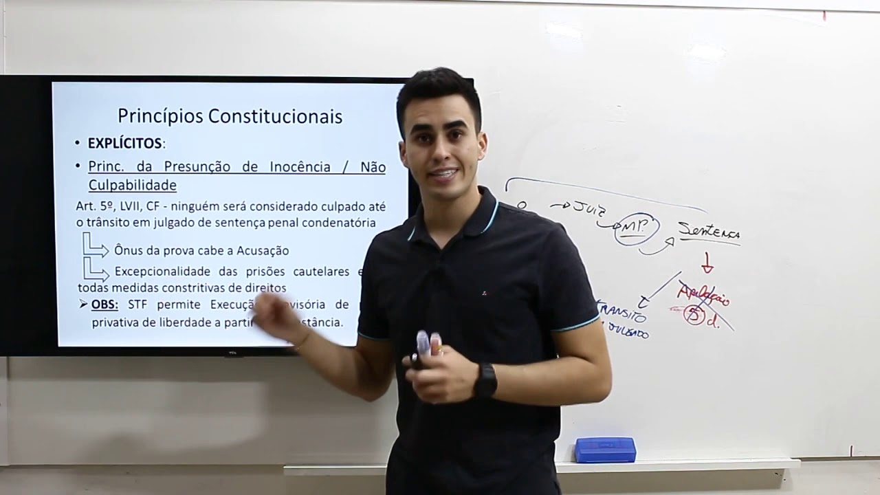 PRINCÍPIOS CONSTITUCIONAIS DO DIREITO PROCESSUAL PENAL I