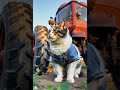 From Frailty To Strength A Life S Journey LifeStruggles Cute Entertaininganimals Funnyanimal