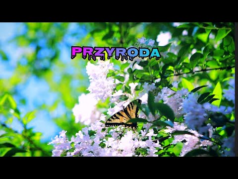 Przyroda 4 Podsumowanie działu 3