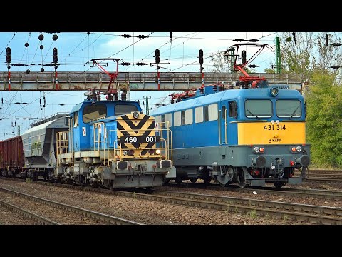 1 Hour of Trains in Hungary. MAV Start: S-Bahn, Regio, Intercity and Freight Trains