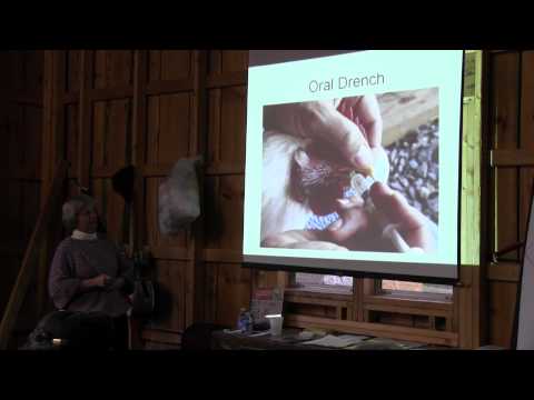 Organic Growers School Poultry Workshop, Part 17