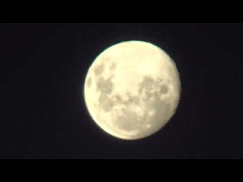 SABALEROS vs 420 FC - #LigaNuñez LN CUP 2022