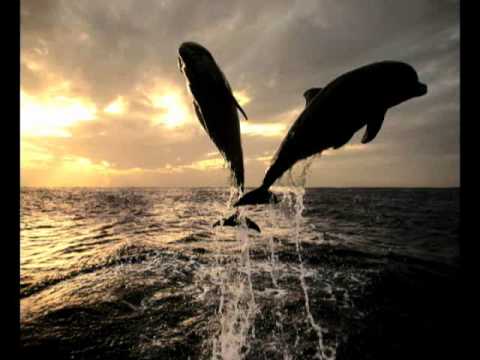 Greg Downey  - From Above (ASOT 471)