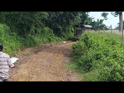 Lo más hermoso de mi pueblo 🥰