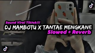 Download lagu DJ MAMBOTO X TANTAE MENGKANE ( Slowed & Reverb ) Viral Tiktok..!!! mp3