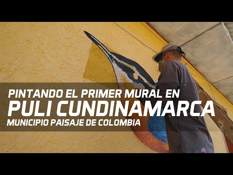 Pintando el PRIMER MURAL en PULI Cundinamarca