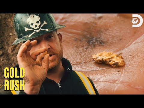 チームリックが金塊を発見!| ゴールドラッシュ (Team Rick Finds A Gold Nugget! | Gold Rush)