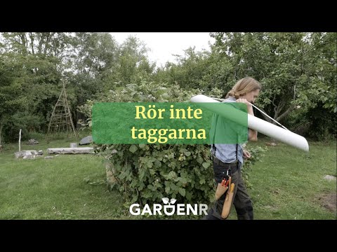 Rör inte taggarna - Trädgårdshacks med GardenR