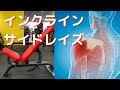 インクラインサイドレイズ