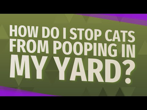 YouTube video about: Does cayenne pepper stop cats from pooping in your yard?