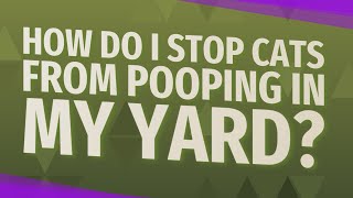 How do I stop cats from pooping in my yard?