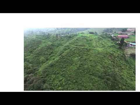 🌿 Specialty Coffee Estate in Naranjo, Alajuela — Costa Rica