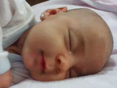 PAULINA ARIA MARTINO