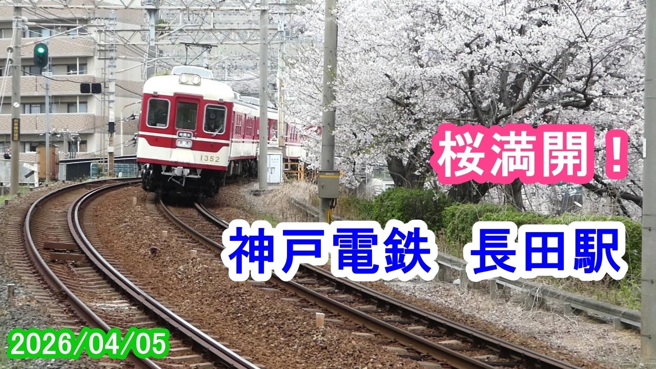桜満開！神戸電鉄～長田駅（2026/04/05）