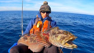 YOU WON'T BELIEVE the Bait I Used to Catch this SEA MONSTER