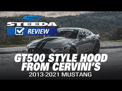 GT500-Style Hood! Form AND Function?
