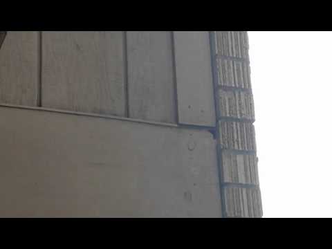 Yellow Jackets Nesting in Siding of Home in Millstone, NJ