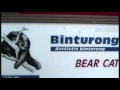 A Random Compilation Of Zoo Animals Detroit Zoo Part 3 Wmv