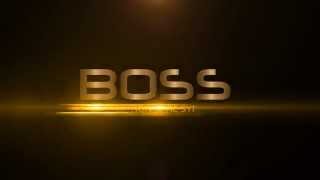 BOSS Logo presentation