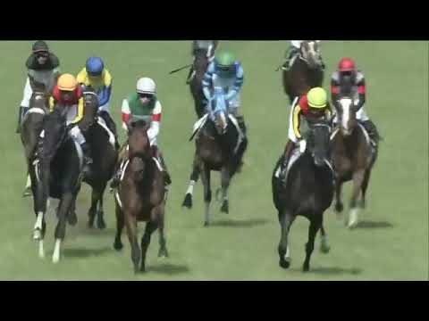 2021.05.30 Tokyo Yushun (Japanese Derby) - Shahryar