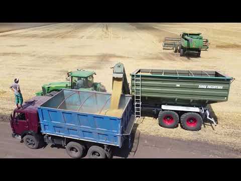 Farm #WithMe Animal Rescue BABY CALF BORN Incredible Cow Milking Smart Farming 2021 Hoof Trimming