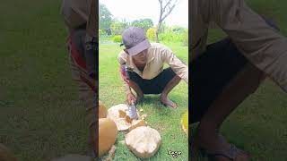 Download lagu Make Rujak, Young Coconut! #shorts #shortsvideo #viral #viralvideo #funny #entertainment mp3