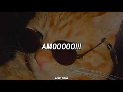 Duende y Nigga - Dejala - Sub. Español [ Lyrics Music ]