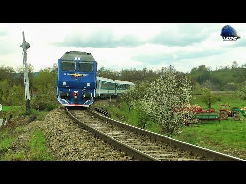 Teodora~GM 64-1125-5 in Defileul Crișului Repede Canyon [Spring Edition] - 14 April 2018