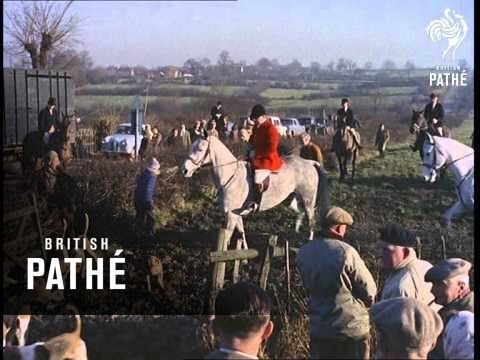 Cacería del zorro en Inglaterra (1964)