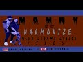 Nandy ft harmonize acha lizame lyric video