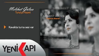 Melihat Gülses - Kavakta Turna Sesi Var