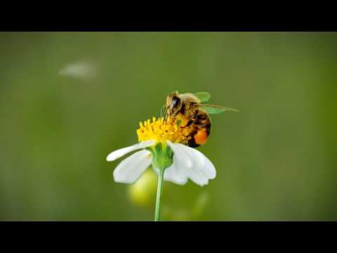 Naturlige produkter virker annerledes...