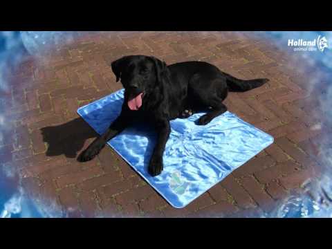 CoolPets Dog Mat