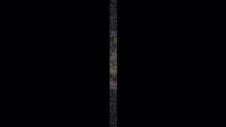【JanneDaArc】描いてみた。
