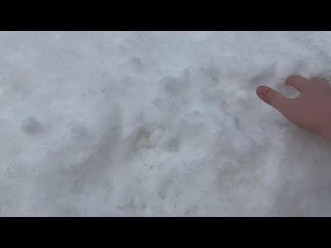Burning snow conspiracy