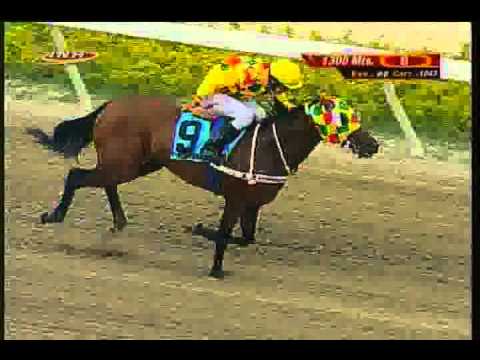 Resumen Domingo, 14 de Diciembre de 2014 - La Rinconada