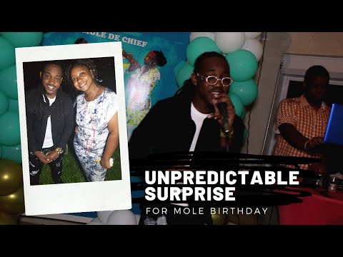 Unpredictable Surprise For Mole Birthday