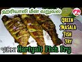 Hariyali Fish Fry Green Masala Fish Fry Hariyali Machili Fry Recipe ஹரியாலி மீன�