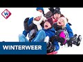 Sneeuwpret in Delft: 'Ik ben twee keer gevallen, maar het is wel leuk' - OMROEP WEST