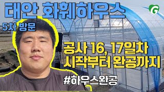 [공사 시작부터 완공까지] 태안 화훼하우스 5일차(마지막) #비닐하우스완공 #비닐하우스시공