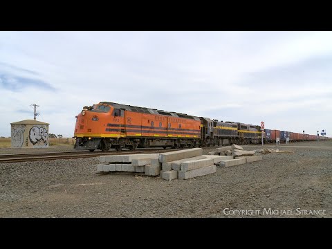 7922V SCT / SBR Dooen Container Train With CLF2 X31 C501 (26/2/2024) - PoathTV Railways