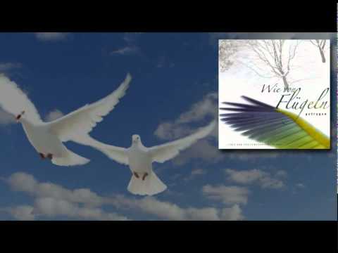 Lieder von Hans Gnann - Wie von Flügel getragen