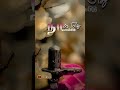 Sinthaiyil Sivamanam Sivanwhatsappstatustamil