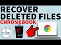How To Recover Deleted Files On Chromebook Restore Files From Trash On Chromebook