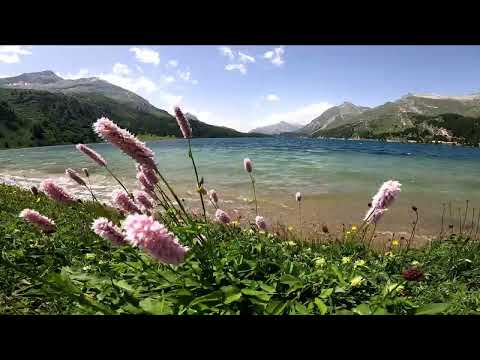 Lake Sils / Upper Engadin / Switzerland