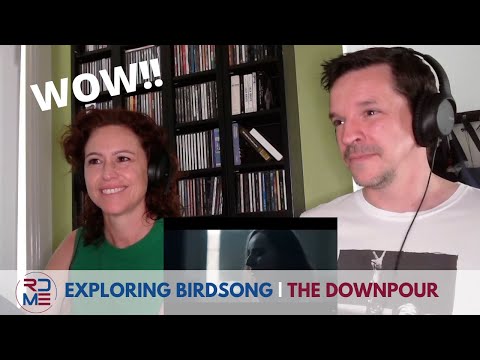RDME - EXPLORING BIRDSONG | THE DOWNPOUR First Listen