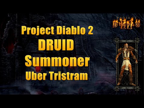 Project Diablo 2 Season 12 – Druid Summoner vs Uber Tristram | Full Aldurs Set