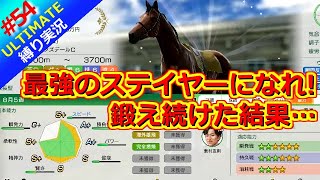 【ウイポ10 2025】＃54 ステイヤーズミリオン完全制覇・・・縛りプレイ！史実馬所有なし！引き継ぎなし！難易度ULTIMATE！1984年7月2週～【ウイニングポスト10 2025】